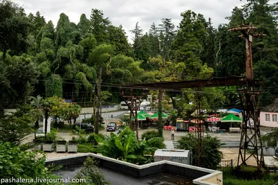Ботанический сад в Батуми | Пикабу