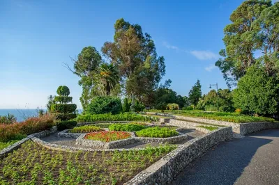 Батумский ботанический сад - чудо Аджарии! Фото - 18.09.2021, Sputnik Грузия