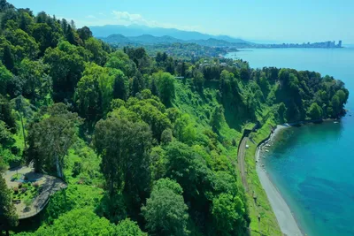 Ботаничка - Батумский ботанический сад (Batumi Botanical... | Facebook