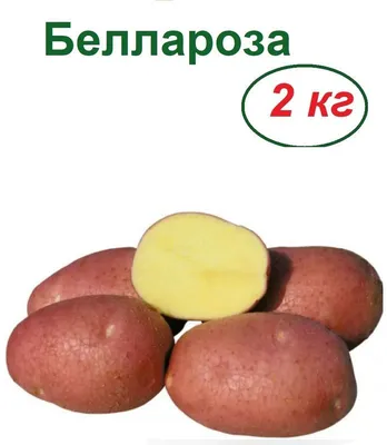 Картофель Глори Вег Беллароза 2,5кг ᐈ Купить по выгодной цене от Novus