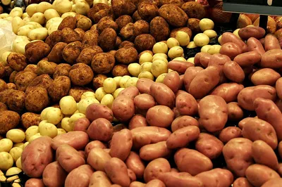 Калинка сортовой семенной картофель в Новосибирске