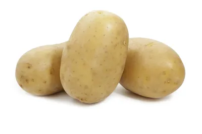 Картофель, раннеспелый сорт Беллароза