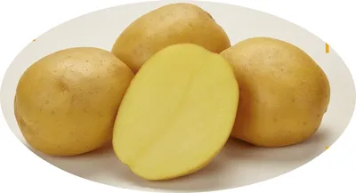 Сорта картофеля - Картофель настоящий вкусный твой