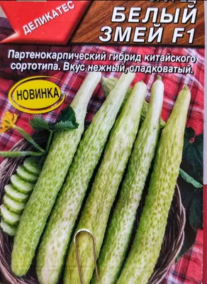 Огурцы бакинские светлые 500 г в Москве, цены: купить Огурцы с доставкой