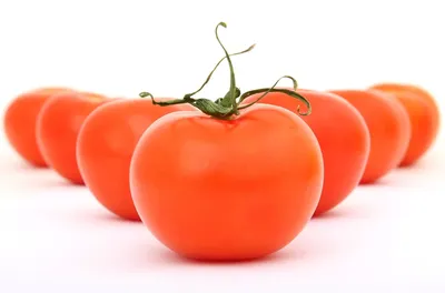 Из-за чего помидоры вырастают с белыми прожилками внутри - и что с этим  можно сделать | Дневник дачника | Дзен
