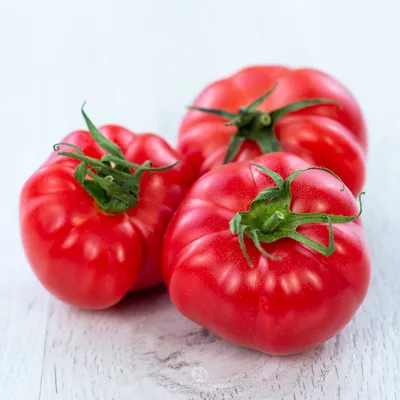 помидоры белые полустудии PNG , крупным планом, помидор, основной PNG  рисунок для бесплатной загрузки