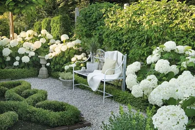 Белый сад: тренд белых цветов в лунном саду - Дизайн Вашего Дома