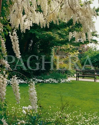 Примеры ландшафтного дизайна на даче, Белый сад - Мир Садоводства
