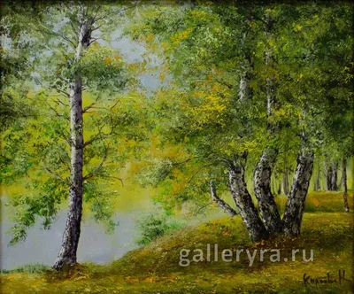 Дерево береза рисунок раскраска (46 фото) » рисунки для срисовки на  Газ-квас.ком