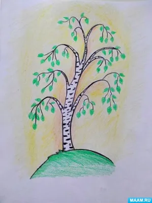 Раскраска \"Лист березы\" (21 фото) | Раскраски, Осенние деревья, Береза