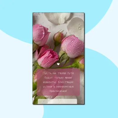 Блестящие розы 😍 15шт- 19 500тг *Цена актуальна на момент публикации -  собираем букеты и композиции любой сложности✨ - работаем до… | Instagram