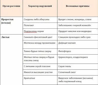 Болезни томатов и помидор в теплице и открытом грунте: фото, описание и их  лечение, методы борьбы и профилактики - Ортон