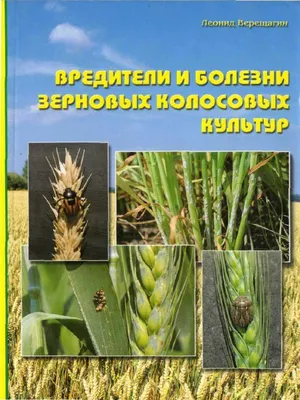 ФГБУ «Центр оценки качества зерна» | Грибковые болезни зерновых культур и  меры борьбы с ними