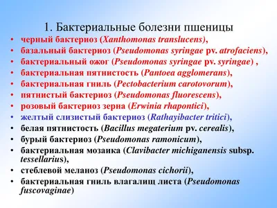 КУПИМ СРОЧНО опт Зерно Пшеница, Ячмень. Покупка. Воронежская область —  Доска бесплатных объявлений — Agrostrana. Агространа. Частные объявления и  предложения.