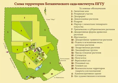 Отзыв о Ботанический сад-институт ПГТУ (Россия, Йошкар-Ола) | Очень  красивая парковая зона с уникальным ландшафтным дизайном и живой коллекцией  растений