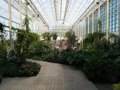Ботанический сад в Кемерово — цена билета, официальный сайт, режим работы,  адрес, телефон, фото, как добраться