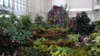 В Кемерове открылся ботанический сад на Лесной Поляне • 11.06.2018 •  Новости • Сибдепо