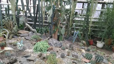 Кемерово Ботанический Сад #перпель - YouTube
