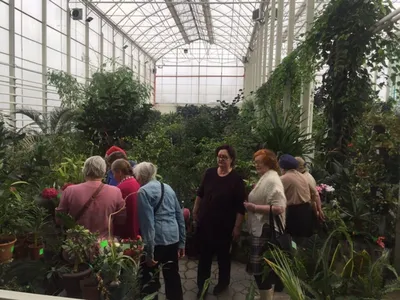 Экскурсия в Кемеровский Ботанический сад | Государственное профессиональное  образовательное учреждение