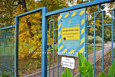 Ботанический Сад в Харькове | Харьков – куда б сходить?