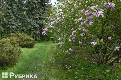 Ботанический сад в Ужгороде - парковое искусство Западной Украины