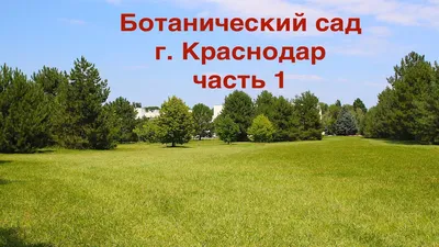 Ботаничесий сад им. И.Косенко или Дендрарий, Краснодар - «Ботанический сад  имени И.С. Косенко – хорошее место для спокойного отдыха. Тенистые аллеи,  чистая территория и шустрые обитатели » | отзывы