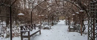 Аптекарский огород (Ботанический сад МГУ) - маршрут прогулки и свадебной  фотосессии в Москве