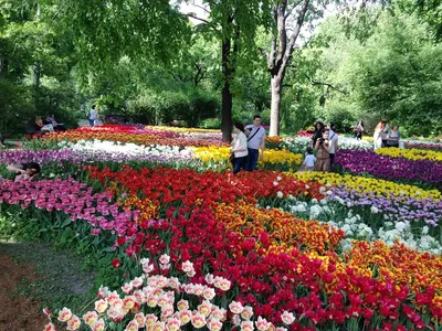 Сад дождя появится в «Аптекарском огороде» - Москва.Центр