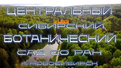 Трава-убийца и кактусы-горцы: самые странные растения оранжереи Ботанического  сада в Новосибирске