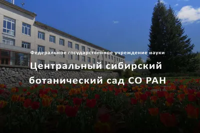 Отзыв о Центральный Сибирский ботанический сад \"СО РАН\" (Россия, Новосибирск)  | Прогулка по оранжереям \"Царство тропических растений\" и \"Эти странные  кактусы и не только\"