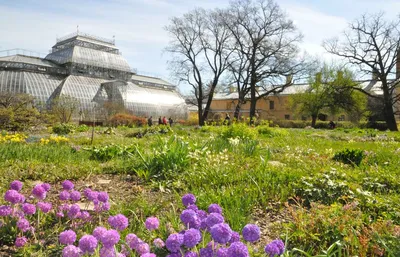 Ботанический сад Петра Великого открывает Водную оранжерею