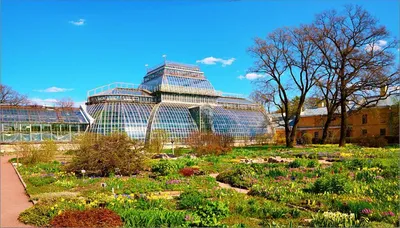 Ботанический сад Петра Великого. Санкт-Петербург | maktur