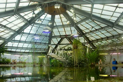Ботанический сад Петра Великого - Официальный сайт лицея 623