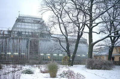 Ботанический сад Петра Великого в Санкт-Петербурге: как добраться, часы  работы, цены, фото