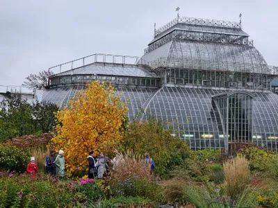 Оранжерейный комплекс Ботанического сада Петра Великого