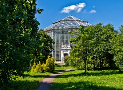 Ботанический сад Петра Великого в дни школьных каникул будет работать без  выходных | Туристический бизнес Санкт-Петербурга