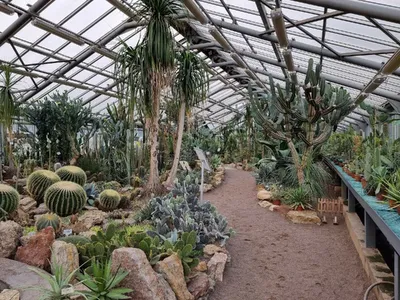 Ботанический сад | Ботанический сад Петра Великого | Фотопланета