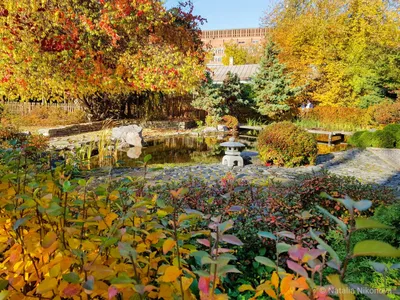 Ботанический сад Петра Великого - Санкт-Петербург: фотоотчеты, события, как  добраться