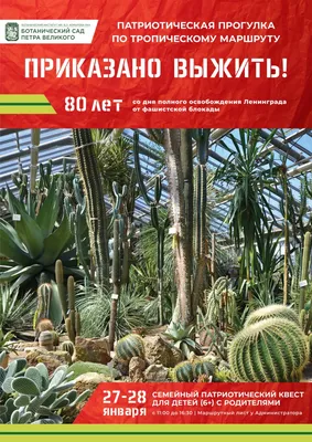 Ботанический сад Петра Великого | Blog Fiesta