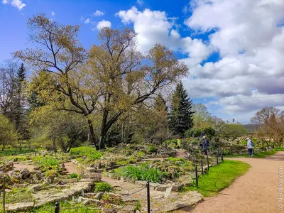 В Ботаническом саду Петра Великого с 30 мая откроется водная оранжерея
