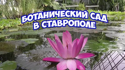 Новости и анонсы