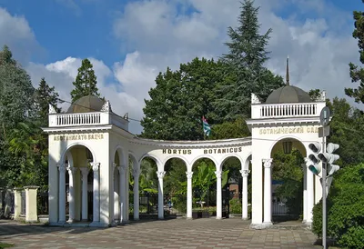 Сухумский ботанический сад, фото, отзывы - г. Сухум, Абхазия