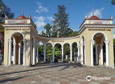 Botanical Garden in Sukhum in Abkhazia (with opening hours, cost and how to  get there)