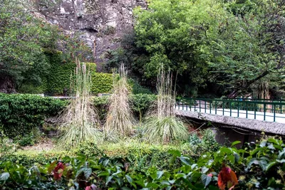 В Ботаническом саду в Тбилиси появился японский уголок - 23.10.2016,  Sputnik Грузия