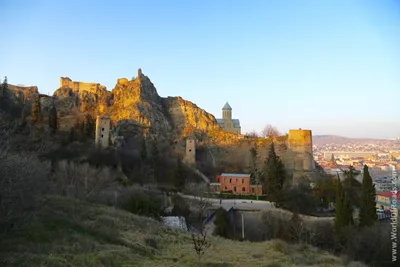 Botanical Garden Tbilisi Ботанический Сад Тбилиси ⋆ Art Event Studio