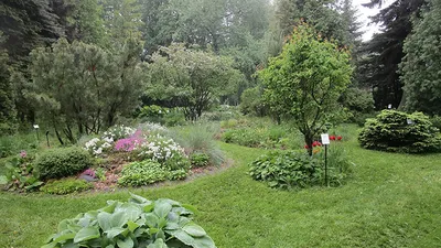 В Твери ботанический сад ждет гостей - Газета «Караван Ярмарка»