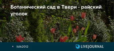 Ботанический сад ТвГУ приглашает в путешествие по этноботанической тропе в  рамках программы студенческого туризма - Тверской государственный  университет