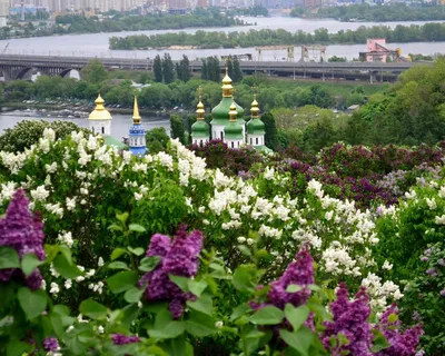 Центральный ботанический сад им. Гришко, Киев: лучшие советы перед  посещением - Tripadvisor