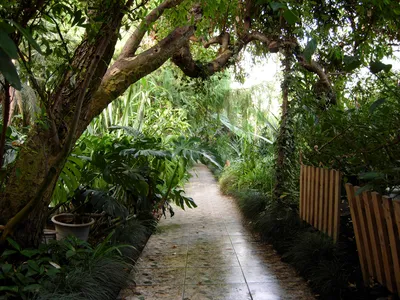 Ботанический сад Уфы — подробное описание, адрес и фото