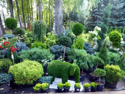 Ботанический сад в уфе фото фото